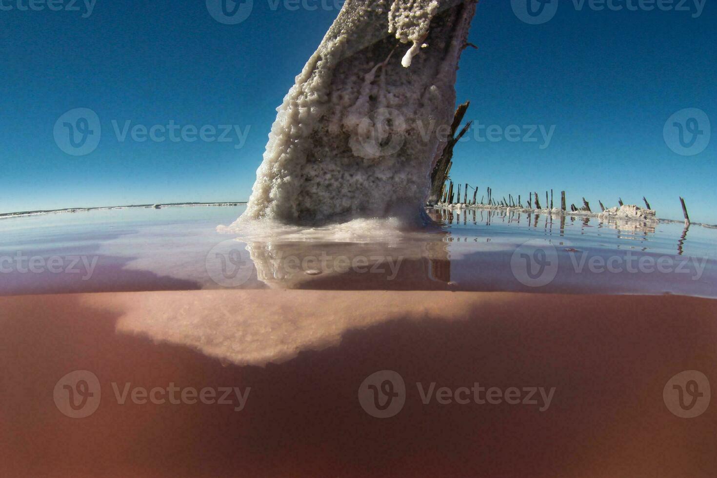 a tree trunk in the water with a blue sky photo