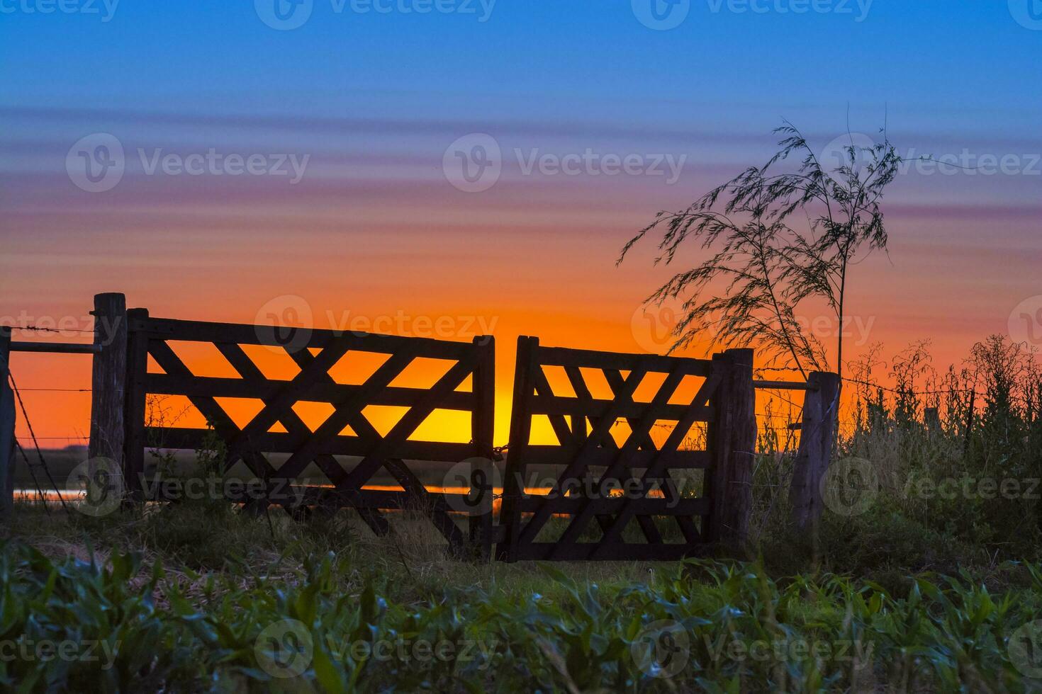 a gate in the grass photo