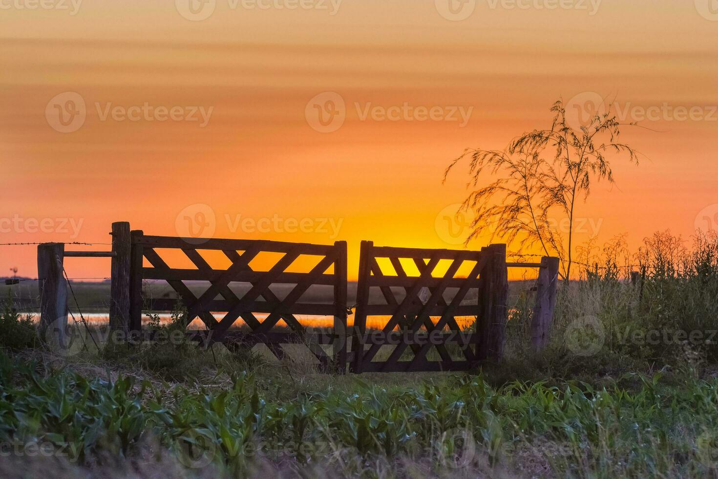 sunset at the lake photo