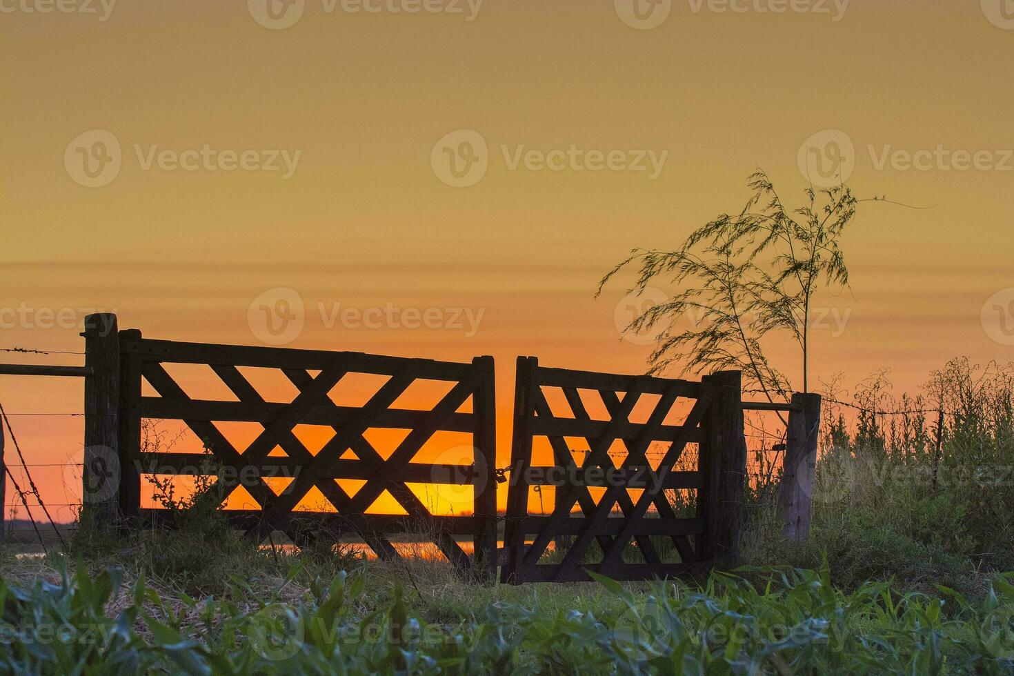 a gate that is open at sunset photo