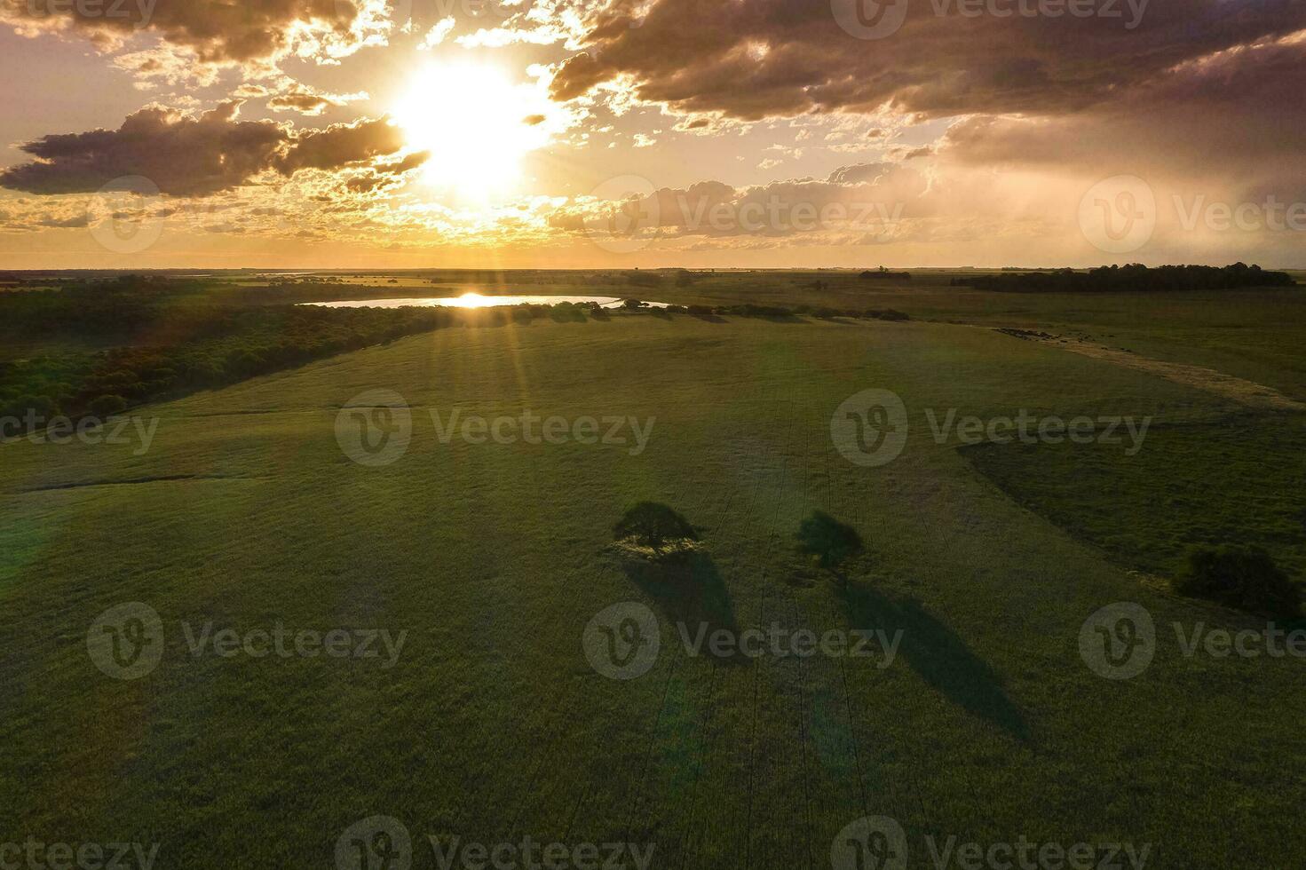 an aerial view of a field with trees and a sunset photo