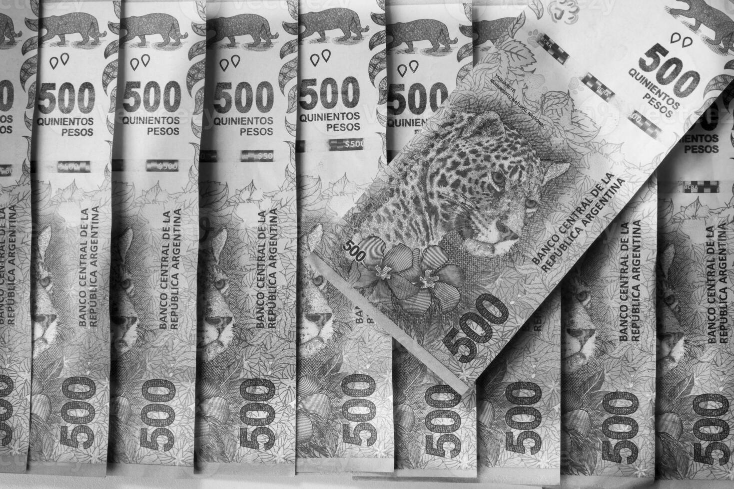 un pila de dinero es mostrado en negro y blanco foto