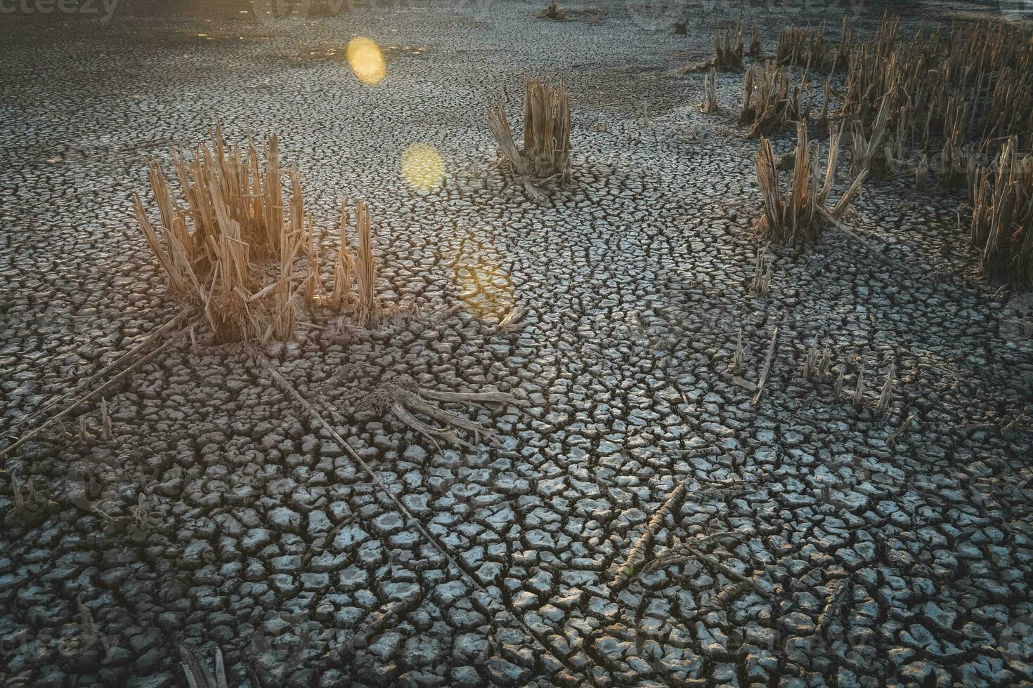 a close up of a cracked surface with some dirt photo