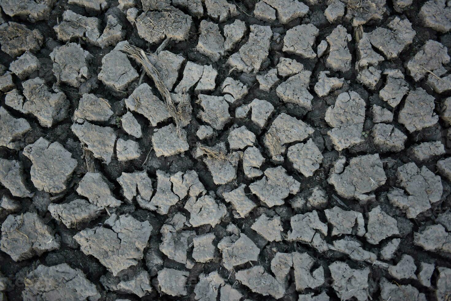 a close up of a cracked surface with some dirt photo