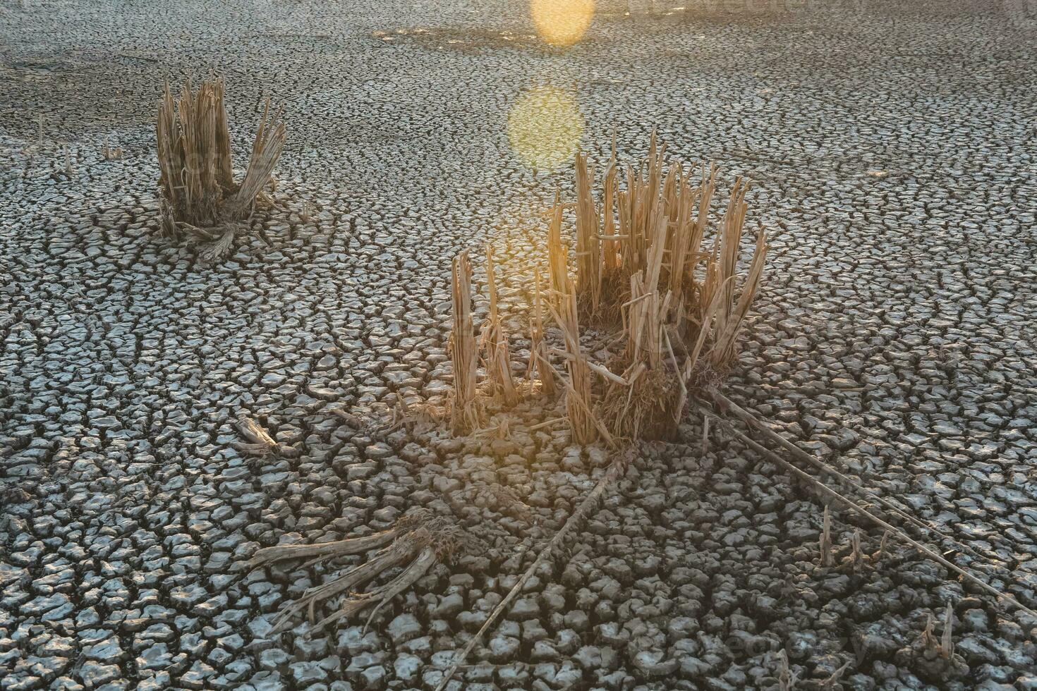a close up of a cracked surface with some dirt photo