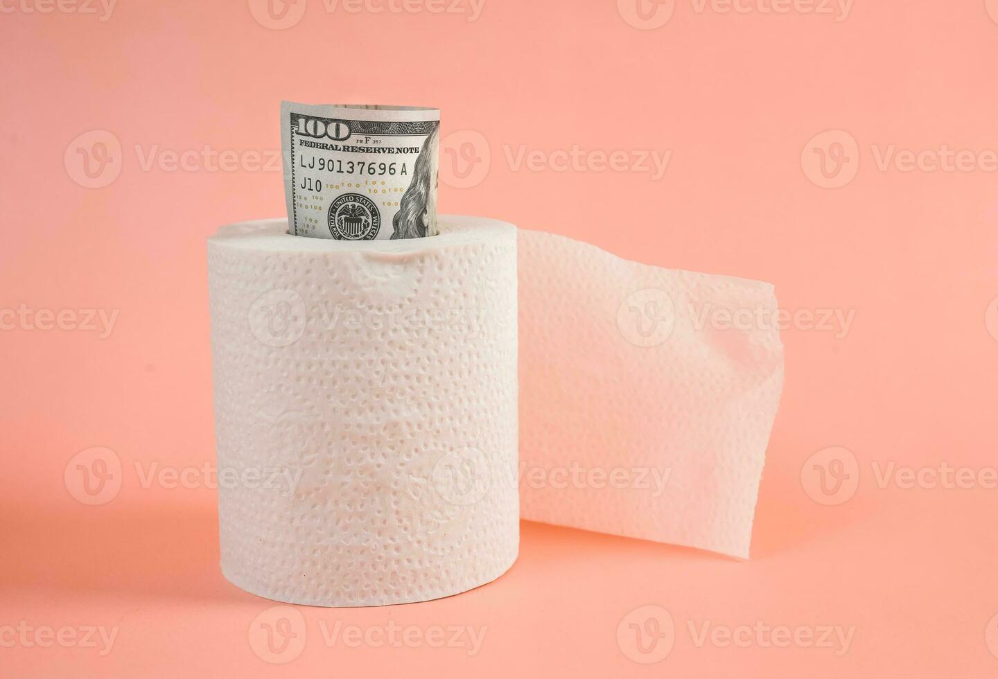 a roll of toilet paper with a dollar bill sticking out photo