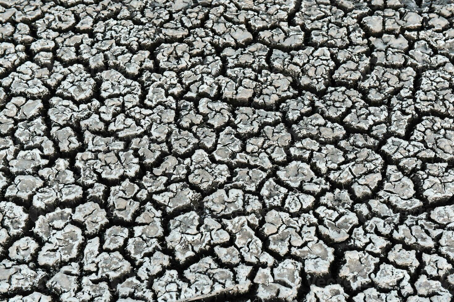 a close up of a cracked surface with some dirt photo