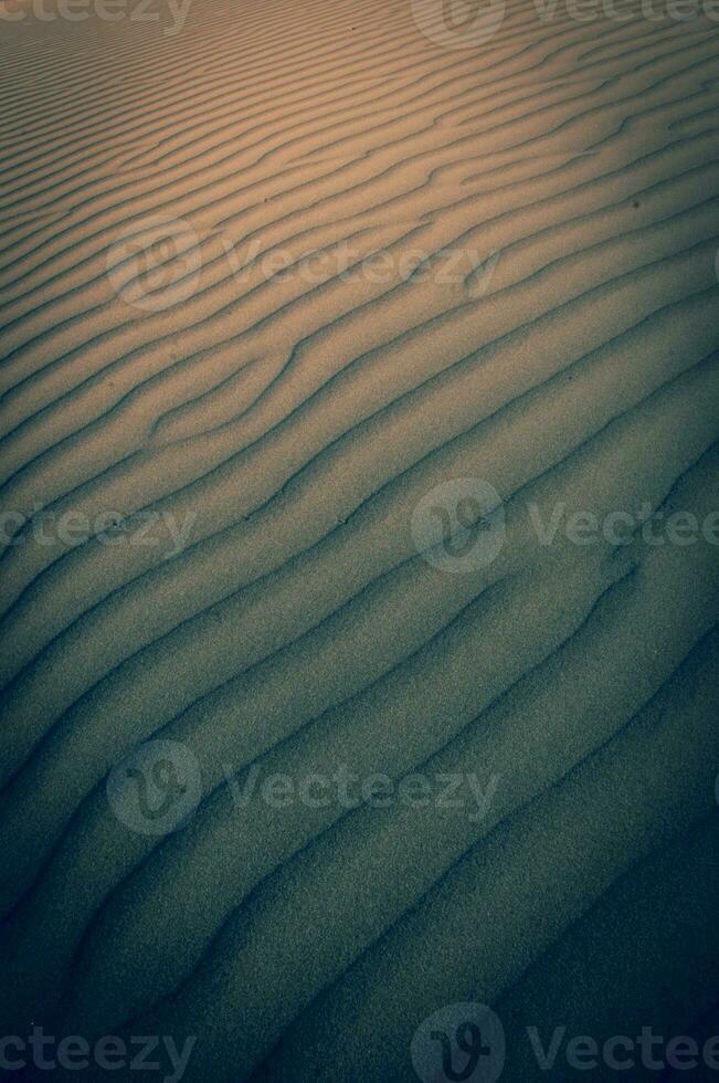 Dune background view photo
