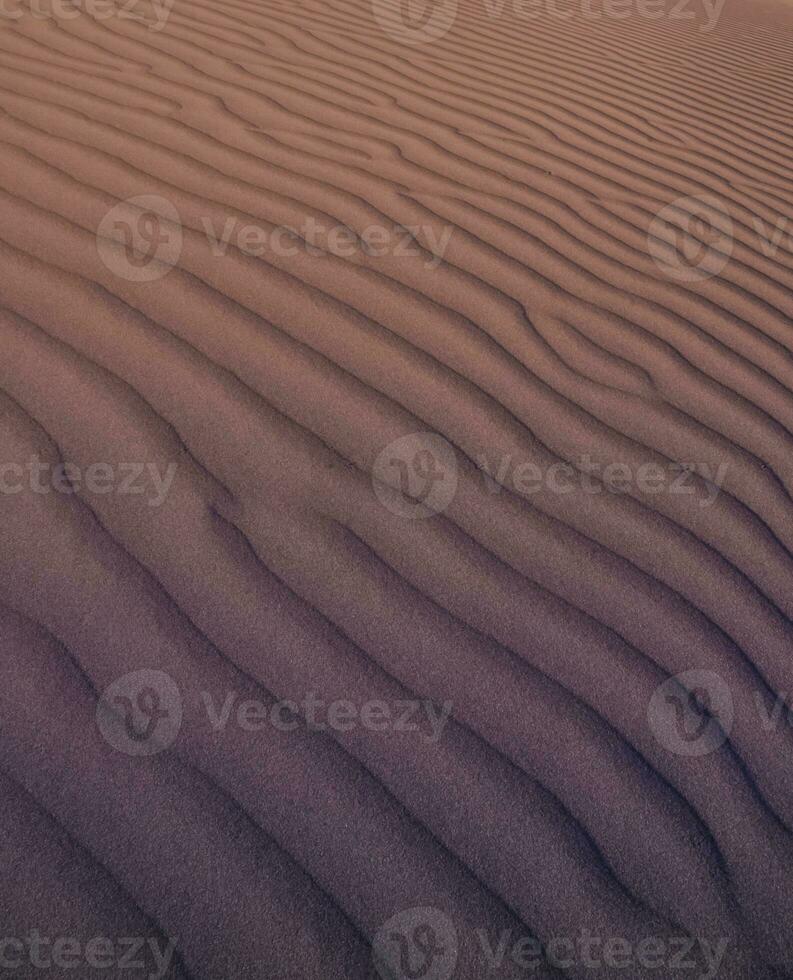 Dune background view photo