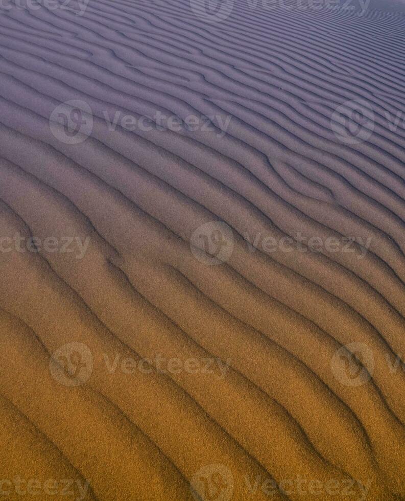 Dune background view photo