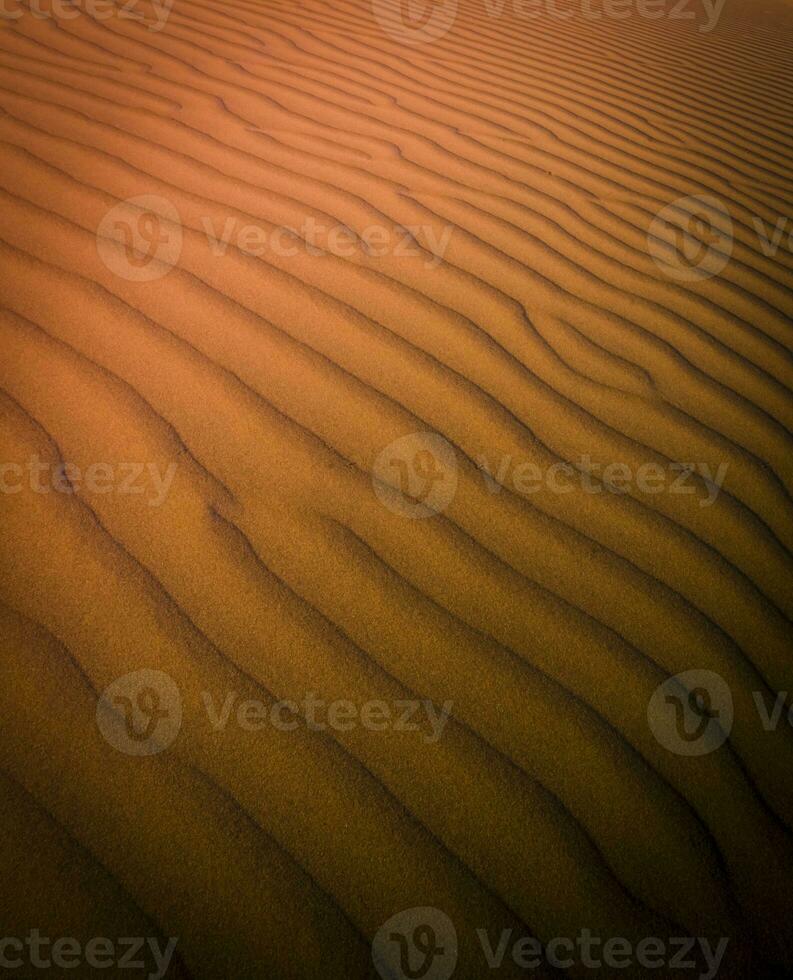 Dune background view photo