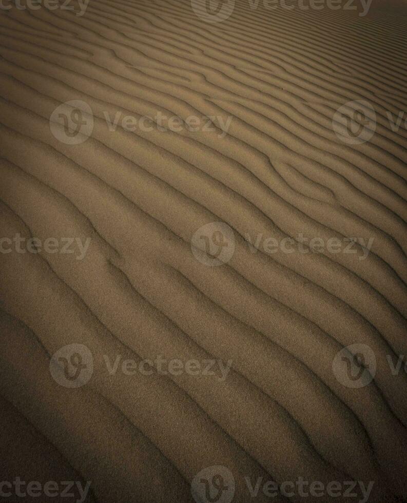 Dune background view photo