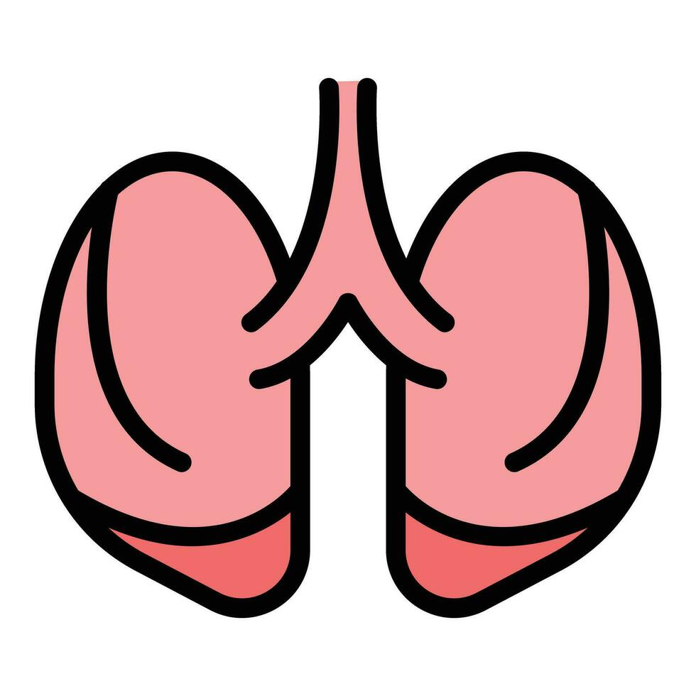 Medical xray icon vector flat