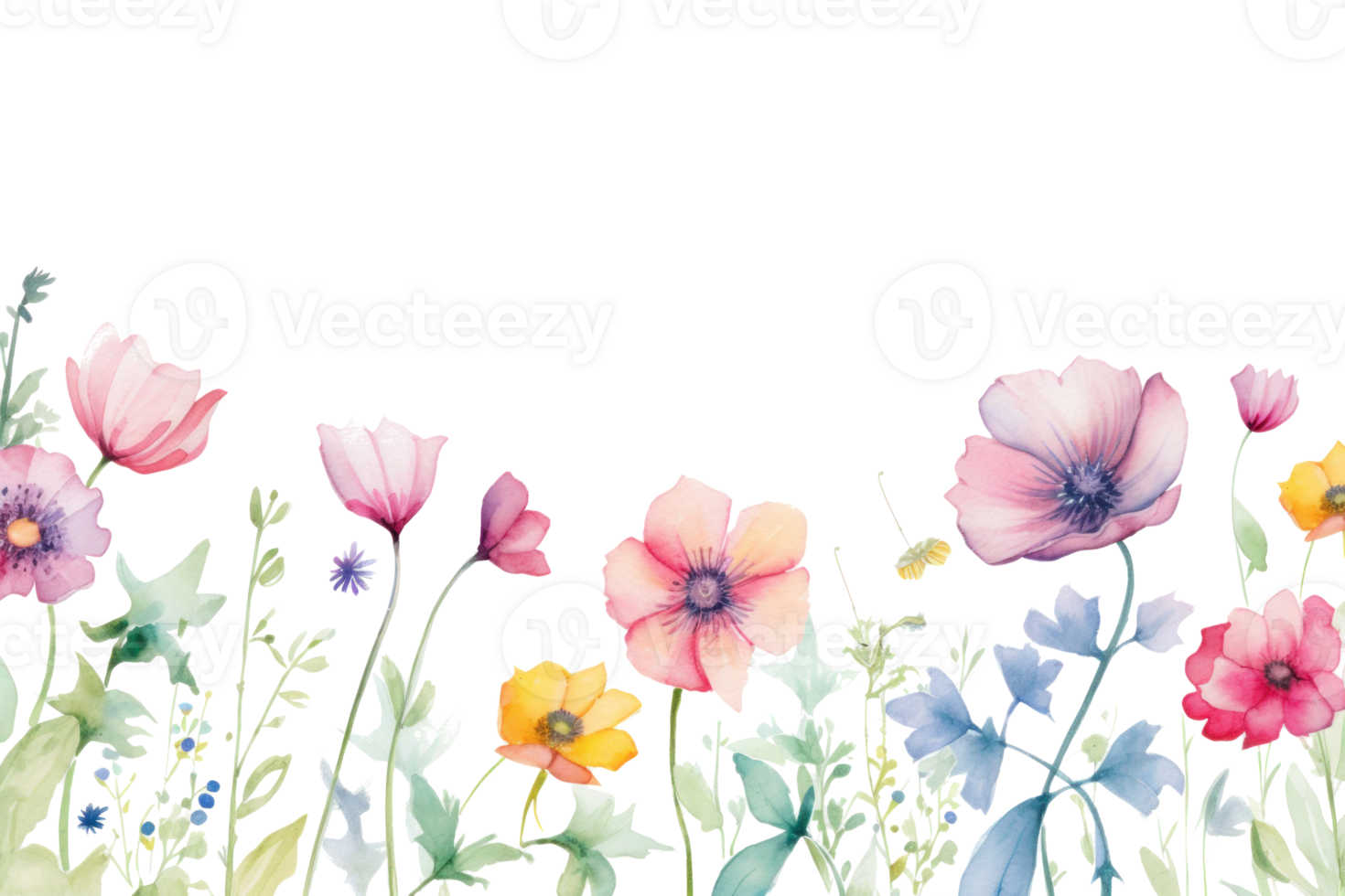 Watercolor floral border png