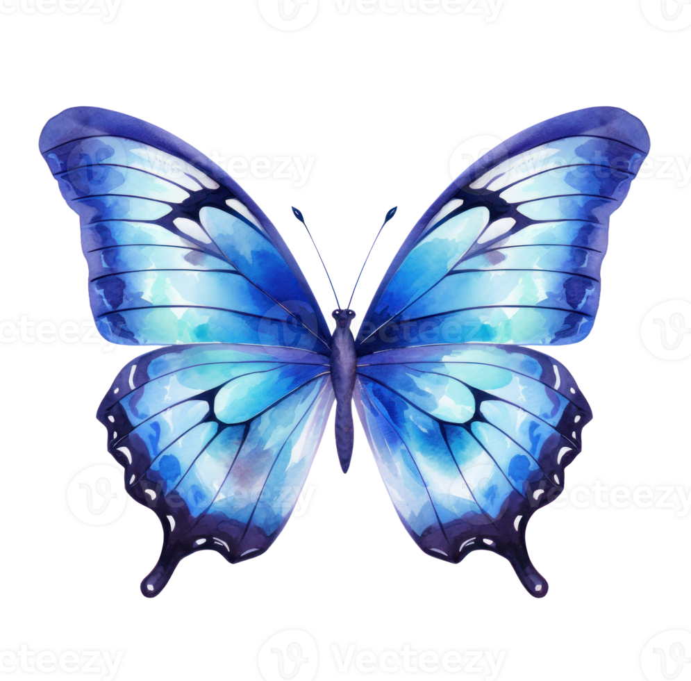 Blue butterfly isolated png