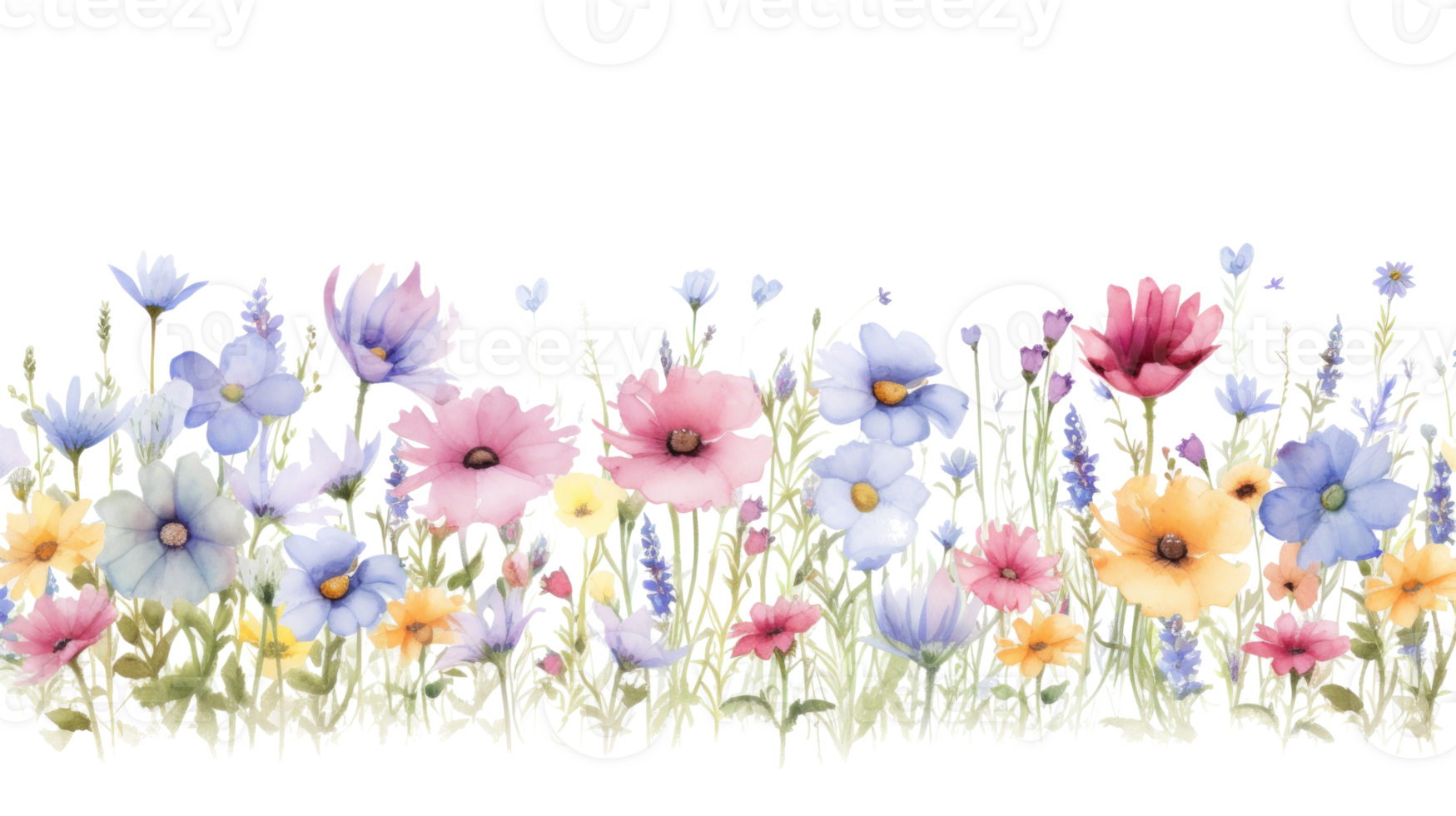 Watercolor floral border png