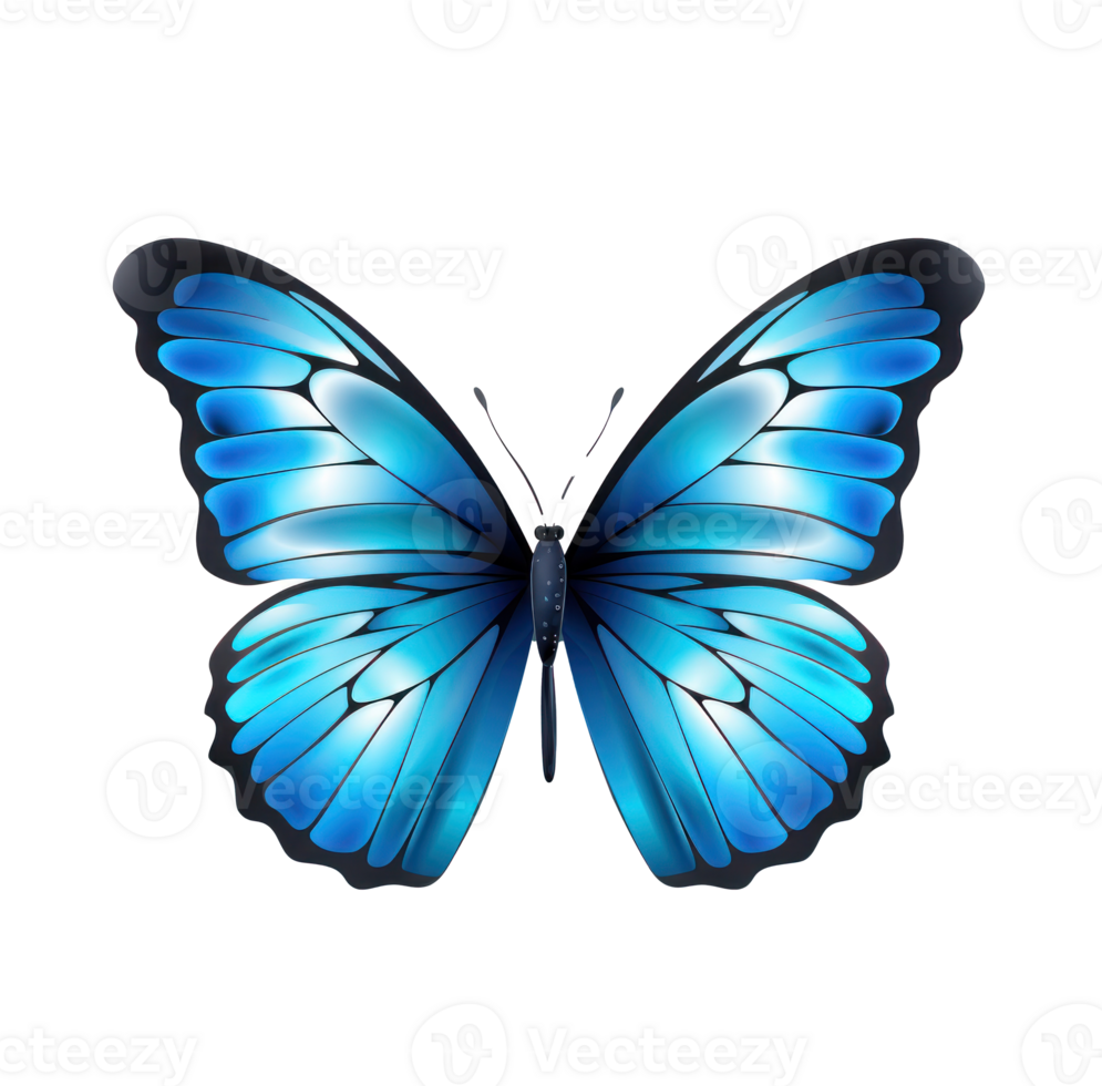 Blue butterfly isolated png
