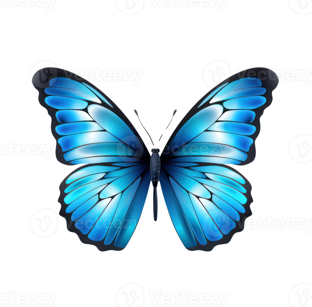 Blau Schmetterling isoliert png