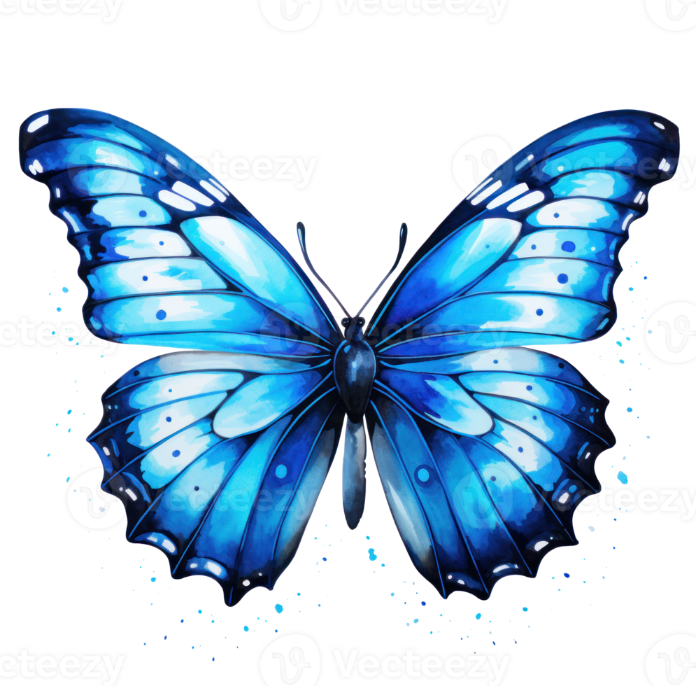 Blue butterfly isolated png