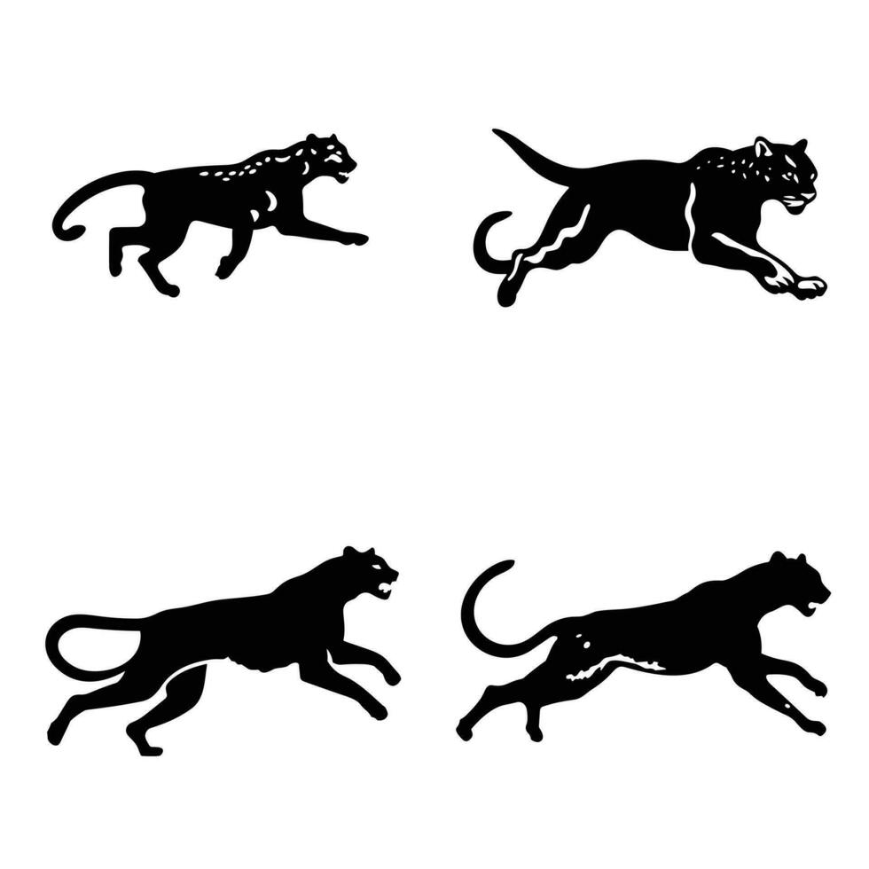 Vector illustrations of animal