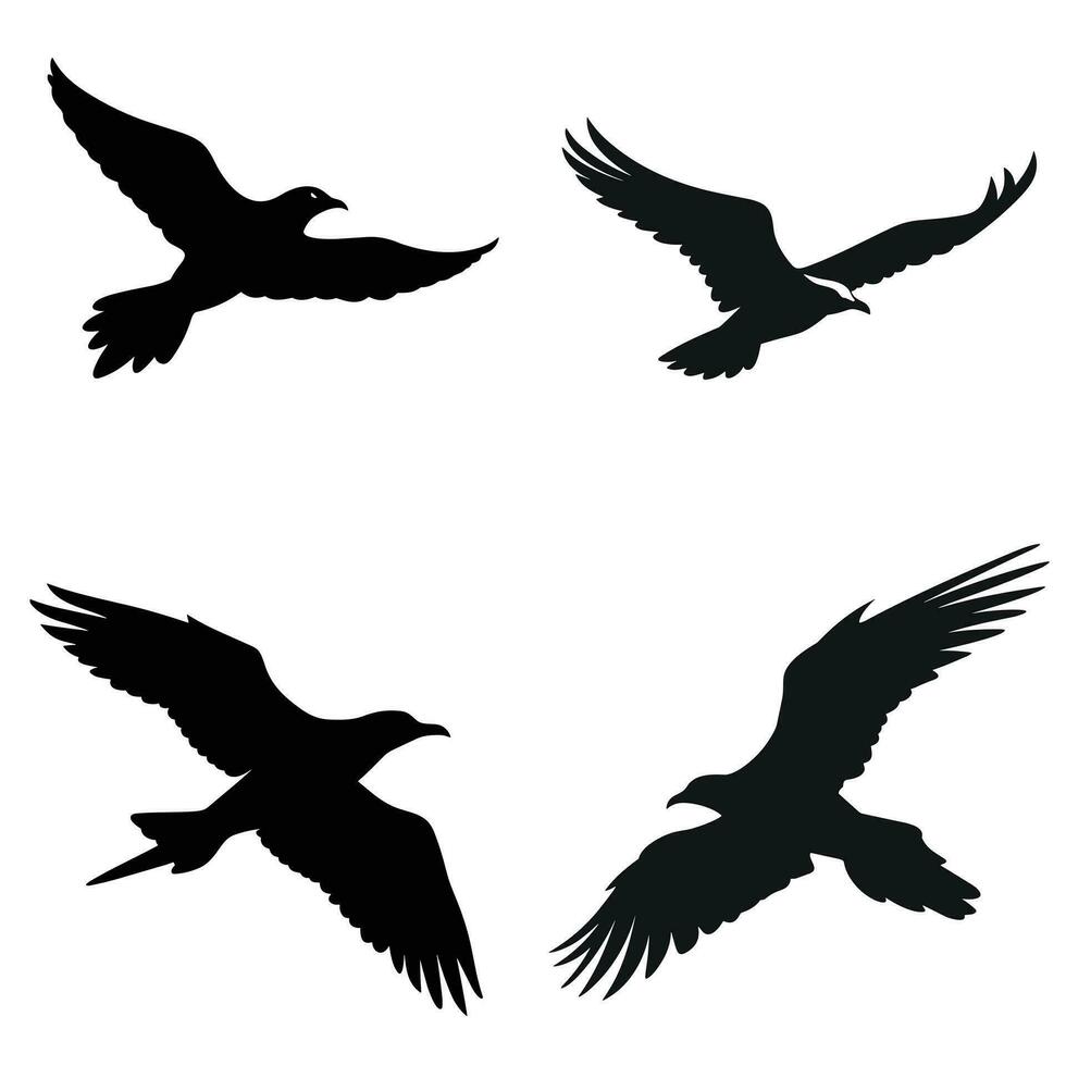 Vector illustrations of animal