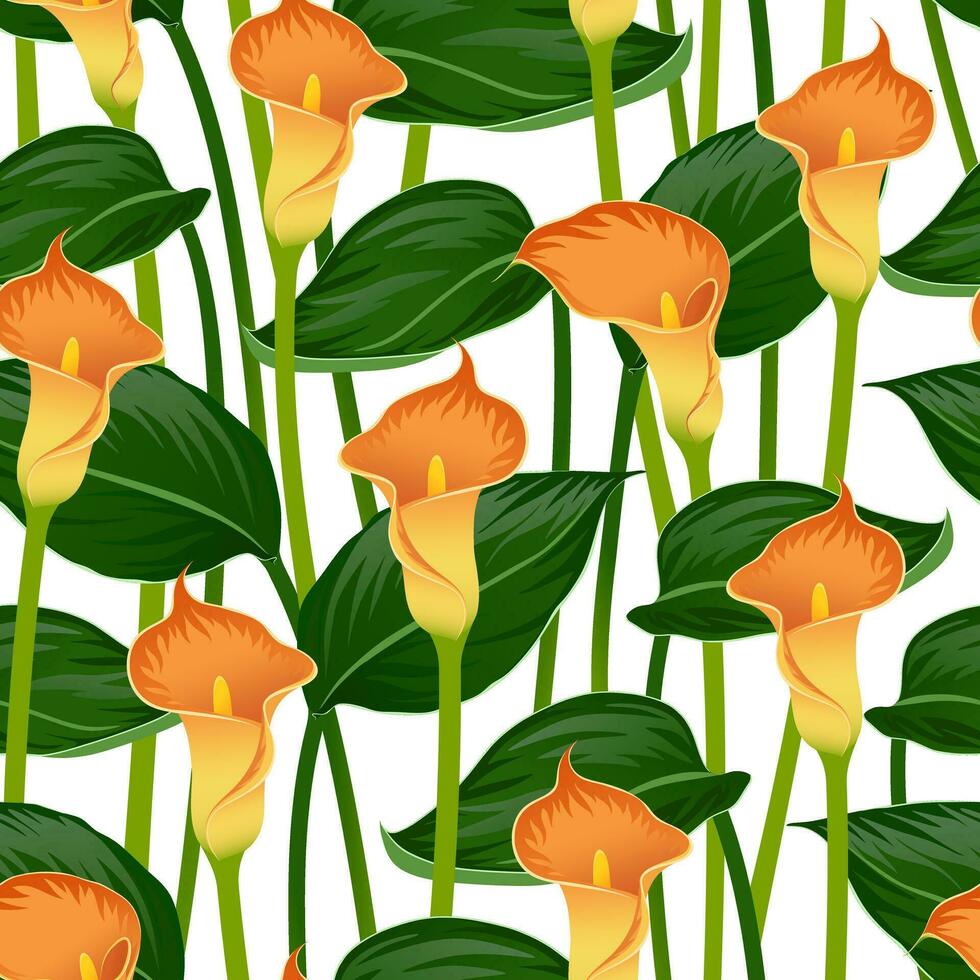 WHITE VECTOR SEAMLESS BACKGROUND WITH BLOOMING ORANGE CALLA LILIES