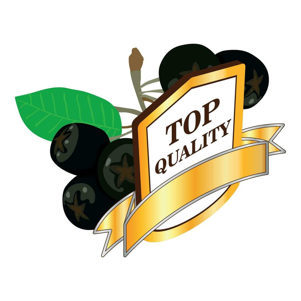 Organic chokeberry icon isometric vector. Black chokeberry and top quality sign vector