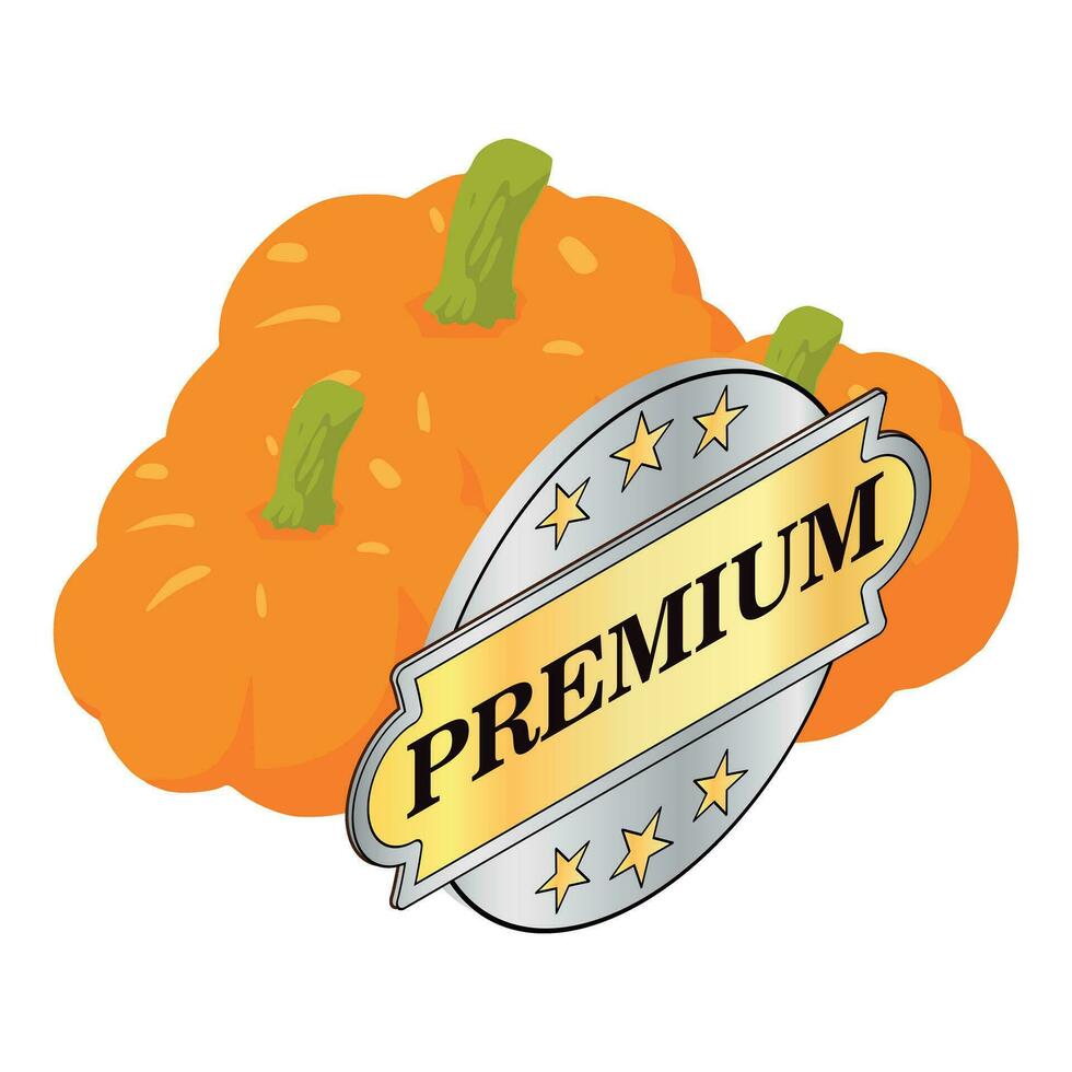 Organic pumpkin icon isometric vector. Freshly picked pumpkin and premium sign vector