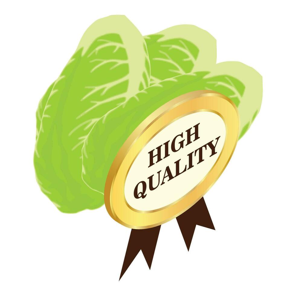 Chinese cabbage icon isometric vector. Organic cabbage and high quality sign vector