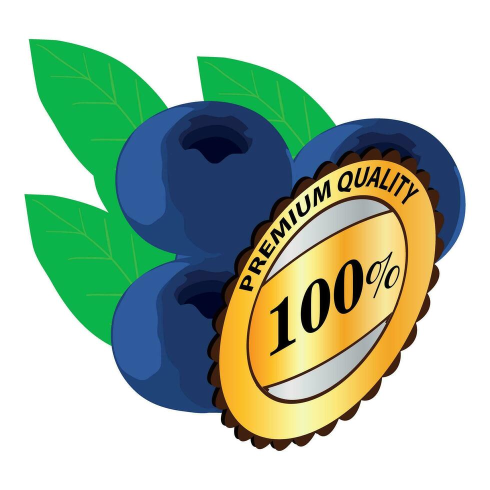 Organic blueberry icon isometric vector. Ripe blueberry and premium quality sign vector