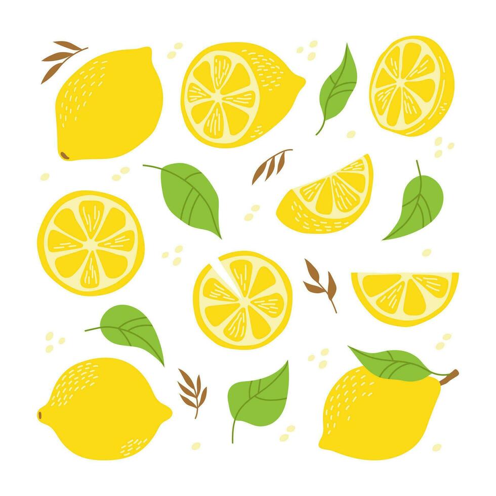 Fresco limón entero, lleno, medio, pedazo, hoja. Fruta colocar. a mano vector ilustración aislado en blanco