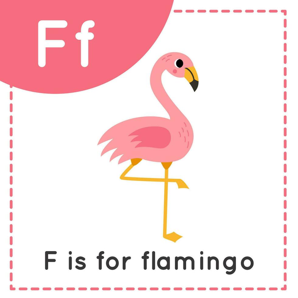Learning English alphabet for kids. Letter F. Cute cartoon flamingo. vector