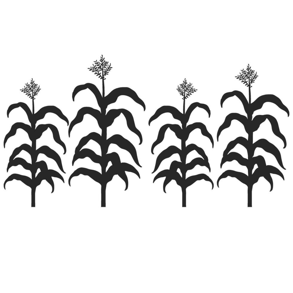 Corn stalk icon vector. Corn illustration sign. plant symbol. weeds logo. vector