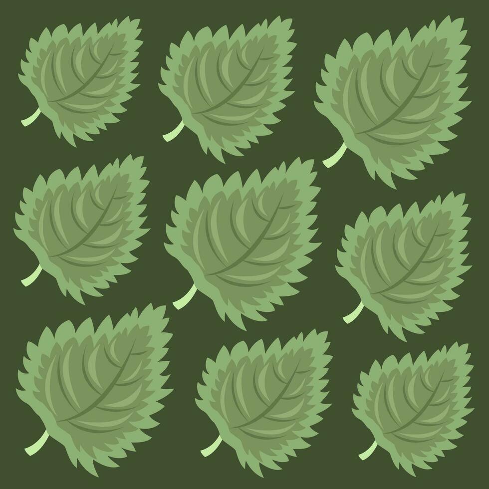 Nettle vegetable leaf vector illustration for graphic design and decorative element