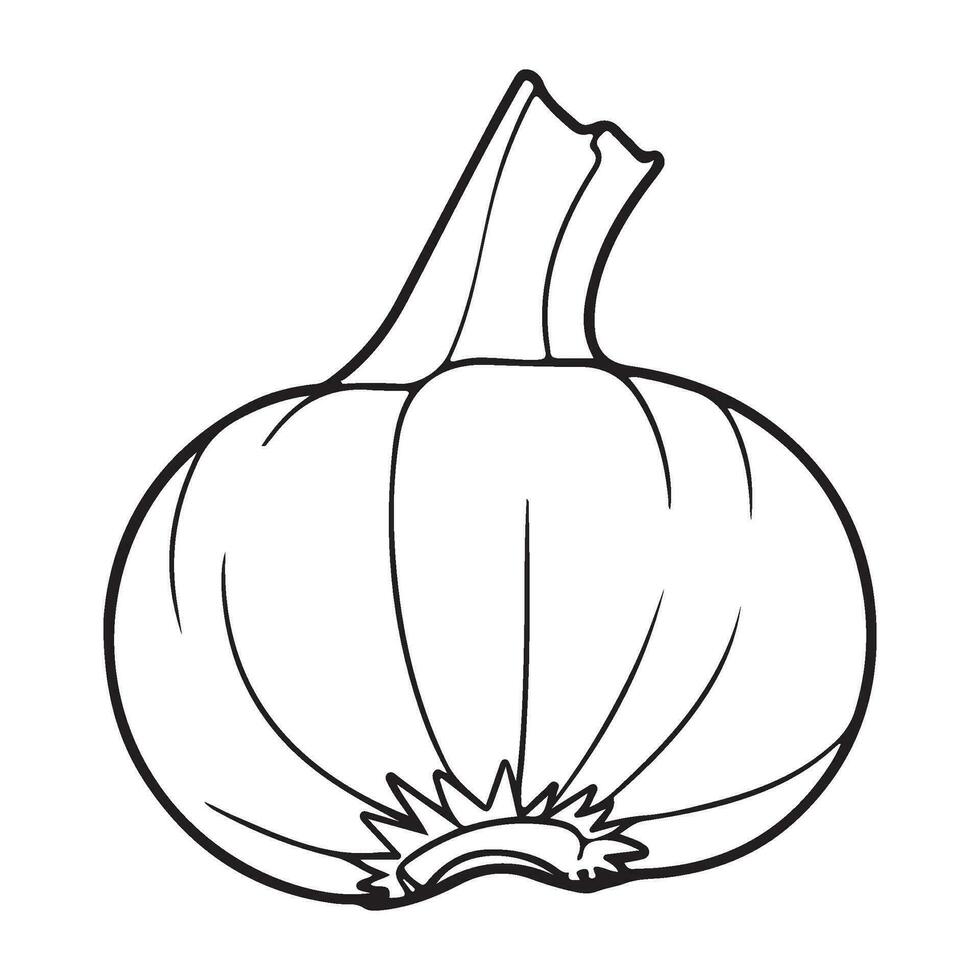 garlic bulb, garlic icon, vegetable for cooking and seasoning vector