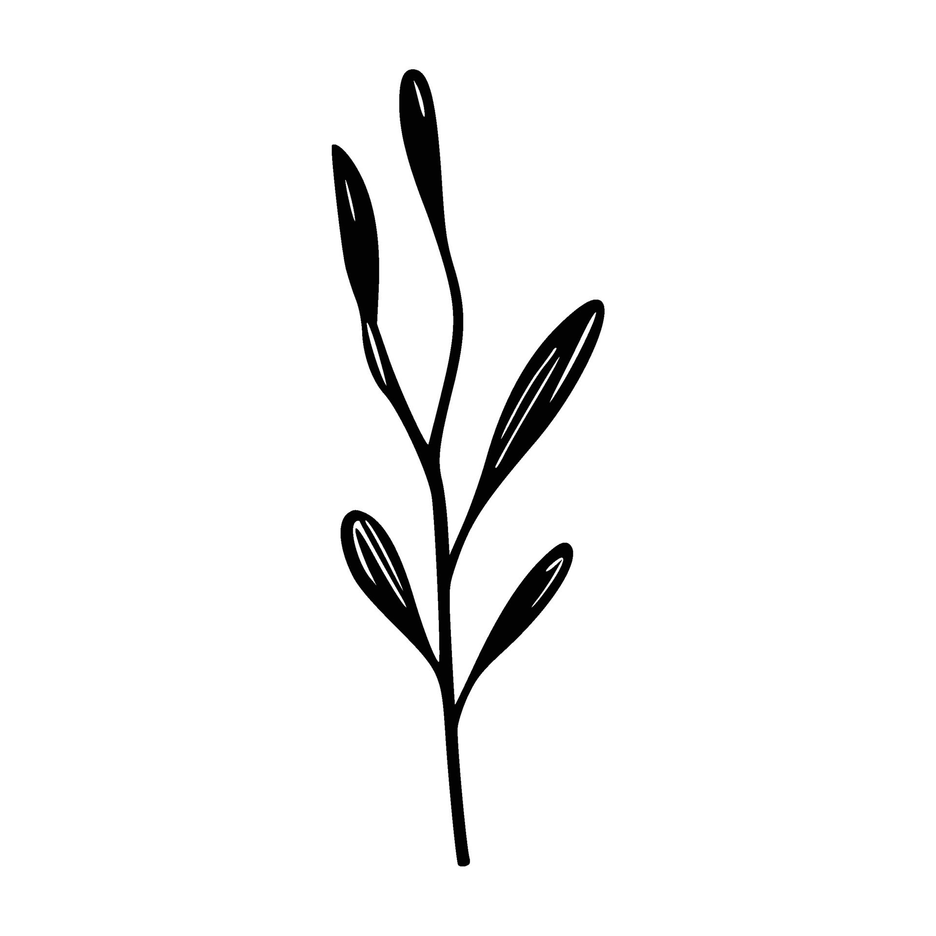 Minimalist branch with leaves icon 26609958 Vector Art at Vecteezy
