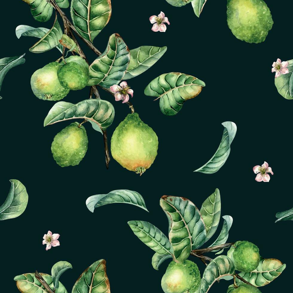 rama de árbol y soltero guayaba Fruta acuarela sin costura modelo aislado en negro antecedentes. verde hojas, flores de guayaba mano dibujado. diseño para envase, embalaje, tela, papel, textil vector