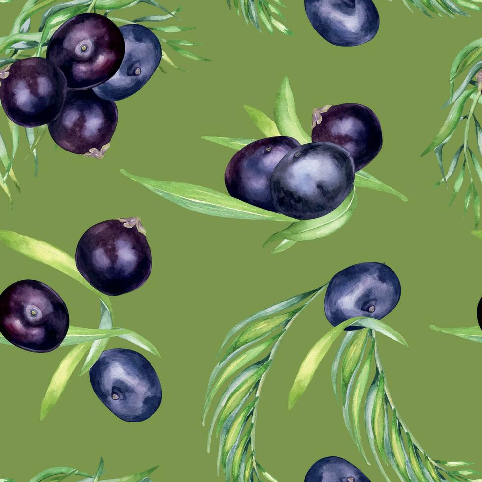 Acai berries and palm leaves watercolor seamless pattern isolated on green. Exotic amazon small purple berries, tropical fruit hand drawn. Design for packaging, wrapping, textile, background, paper vector