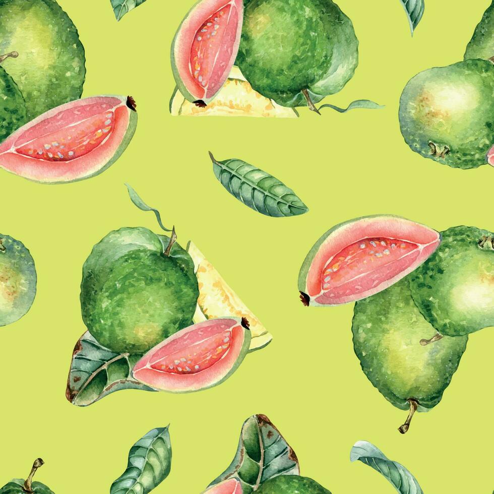 Whole guava and slices, leaves watercolor seamless pattern isolated on yellow. Tropical fruit, pink, yellow pulp guajava hand drawn. Design for wrapping, packaging, textile, background, wallpaper vector
