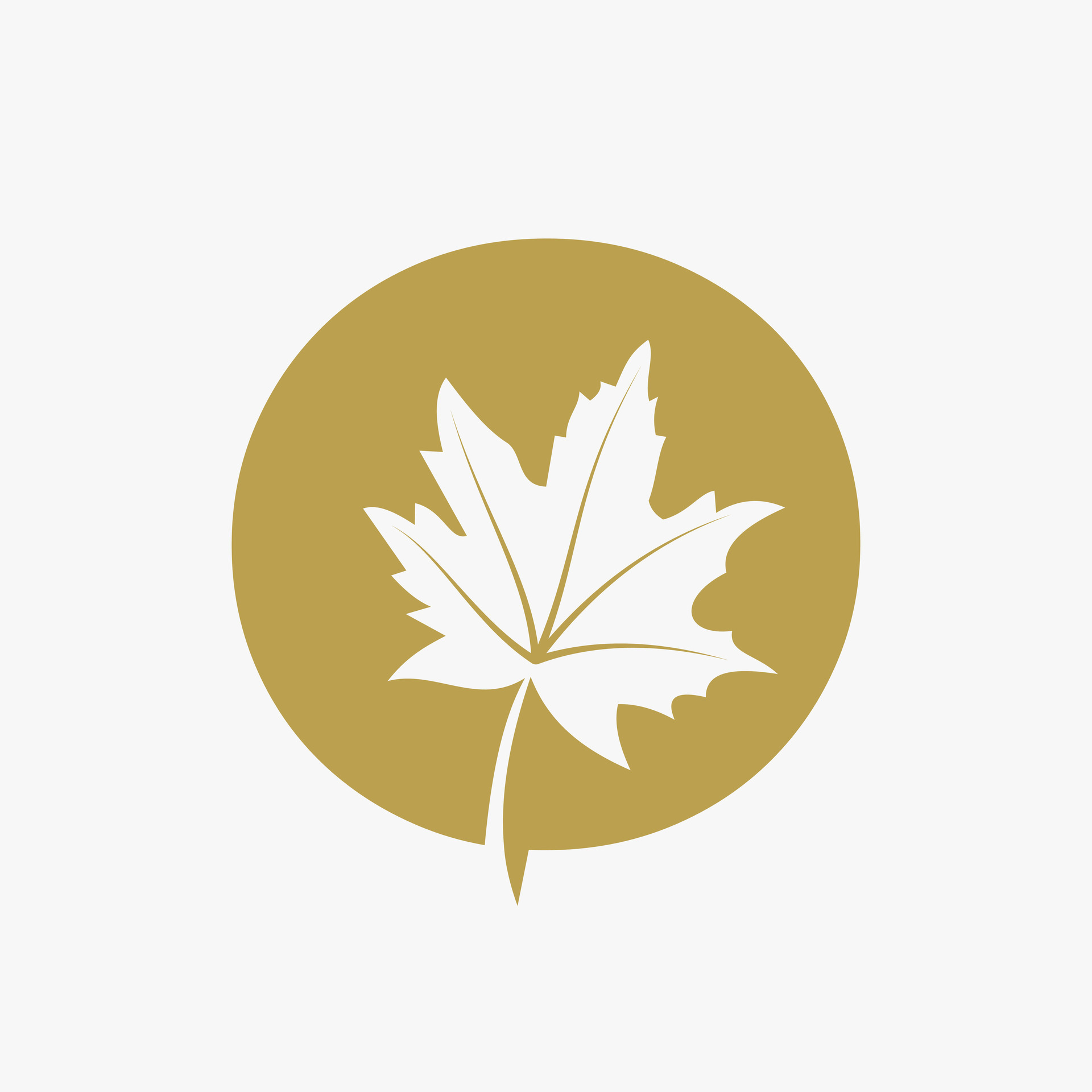 Maple Leaf Vector Symbol With Icon Big Collections. Canada