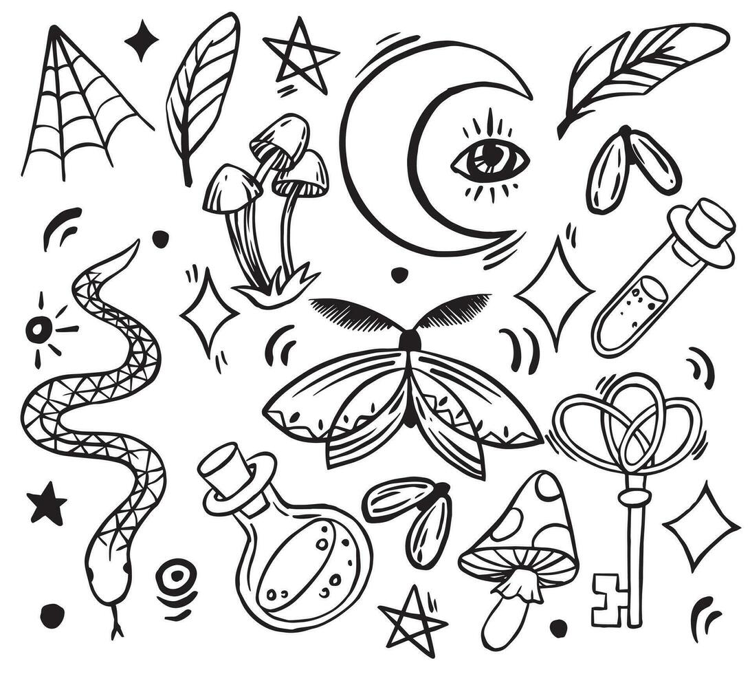 vector drawing, set of elements on the theme of magic, witchcraft. vintage drawing for halloween