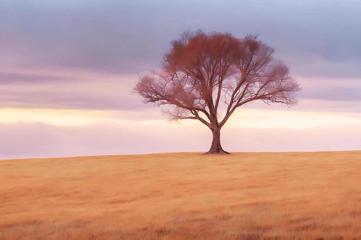 Free Lone tree. photo
