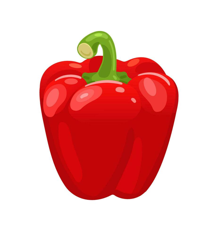 Red bell pepper. Fresh vegetables. Vector illustration