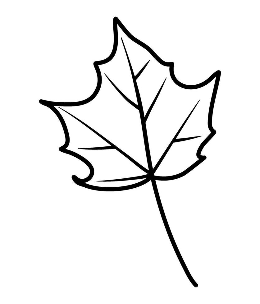 fall leaves acorn autumn line art illustration vector