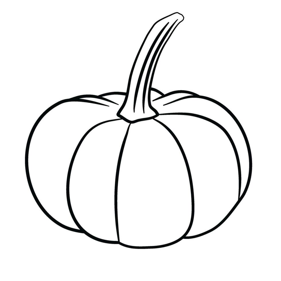 fall pumpkin line art autumn vector illustration