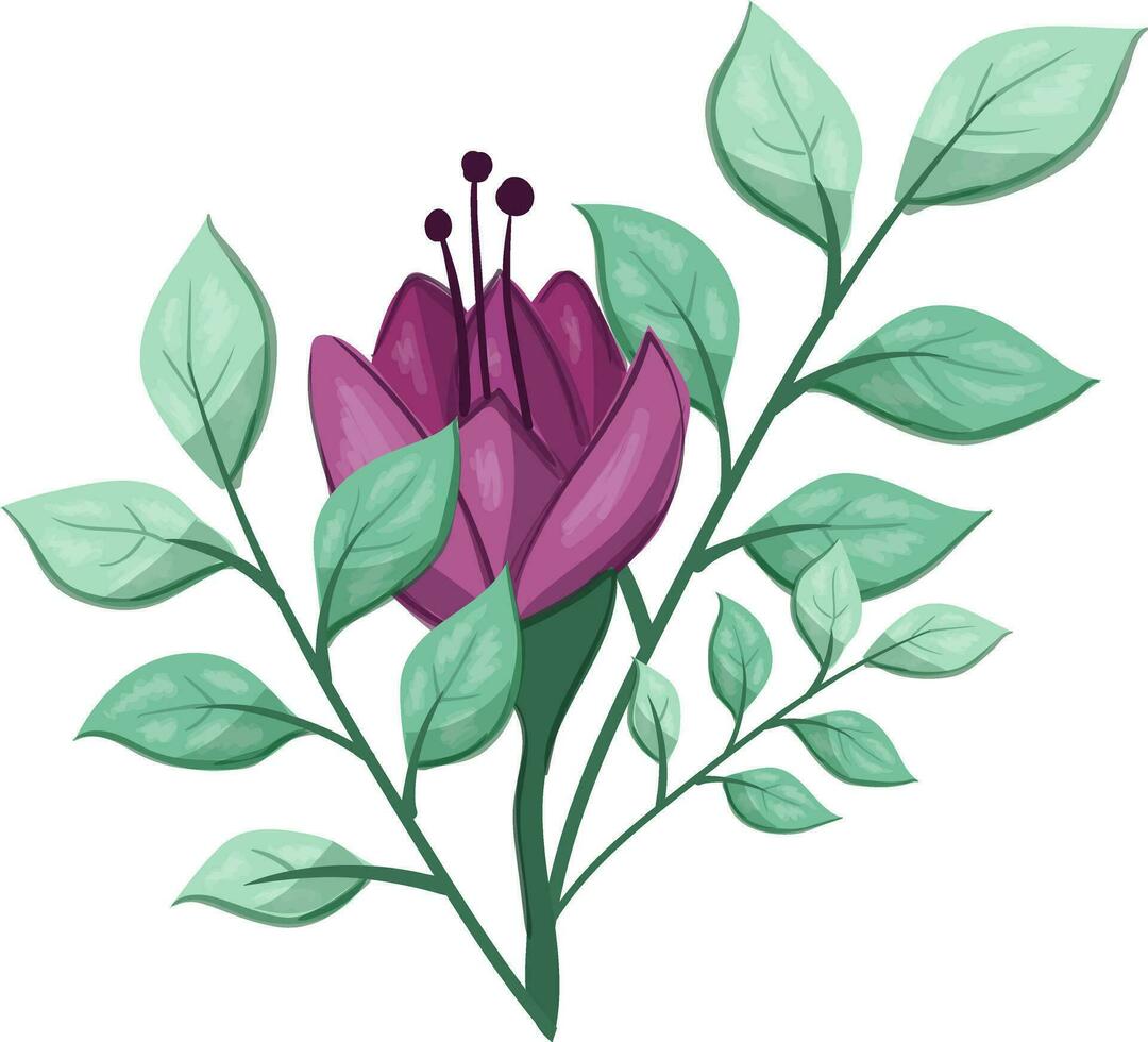 ilustración de un púrpura flor con verde hojas en un blanco antecedentes vector