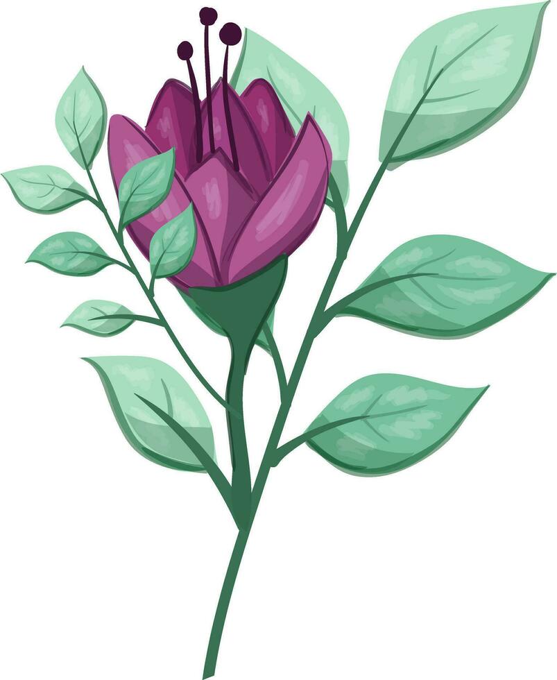 Illustration of a Purple Flower with Green Leaves on a White Background vector