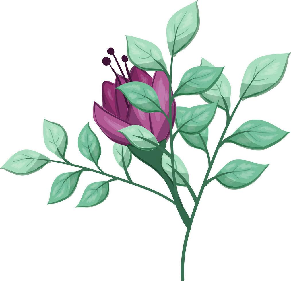 Illustration of a Purple Flower with Green Leaves on a White Background vector