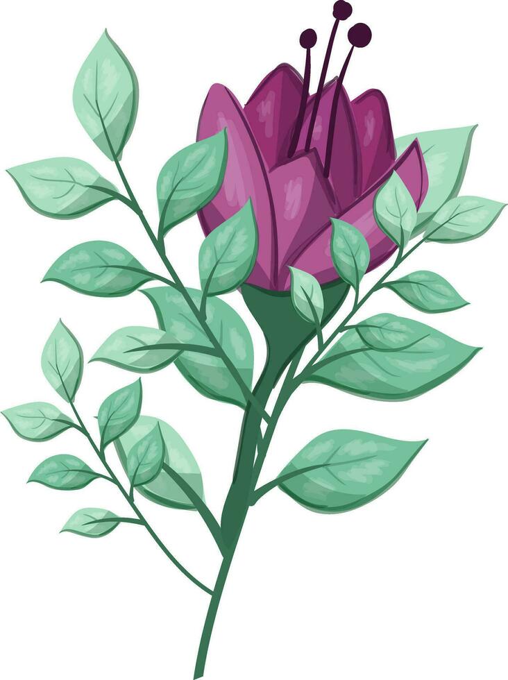 Illustration of a Purple Flower with Green Leaves on a White Background vector