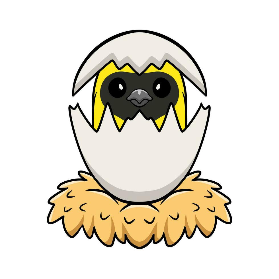 Cute weaver bird cartoon inside from egg vector